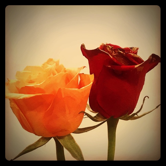 Meet your Posher, Tram - Picture 1 of 1